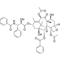 Paclitaxel Semi-Synthetic